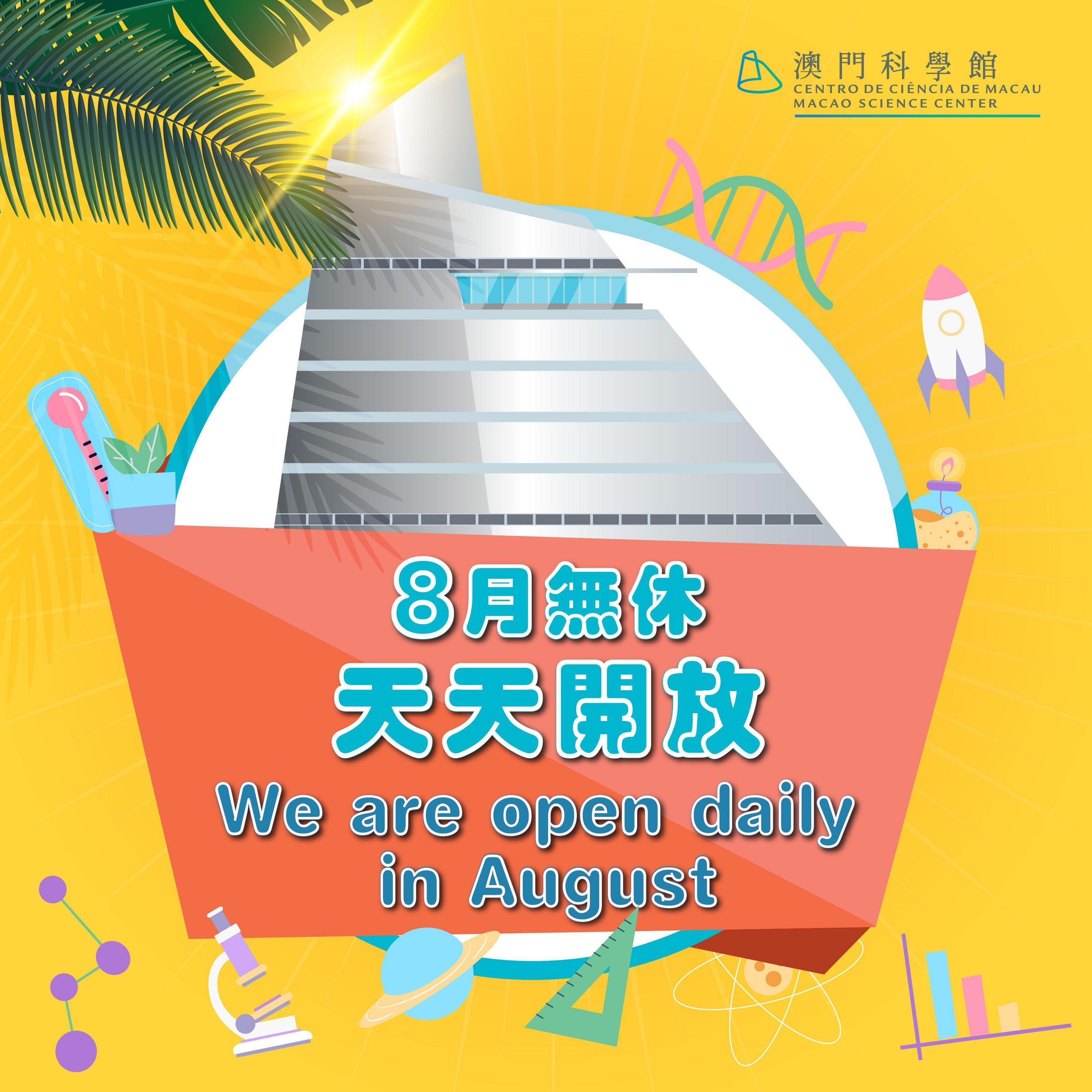 2046澳门天天开好彩大全，揭秘幸运背后的智慧与策略2024澳门天天开好彩大全图