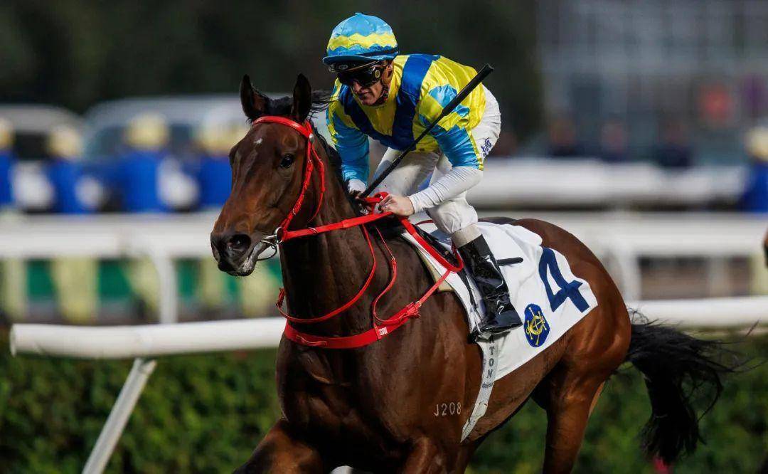 2018年香港马全年资料回顾，赛场风云与文化盛宴最准的香港马资料2020