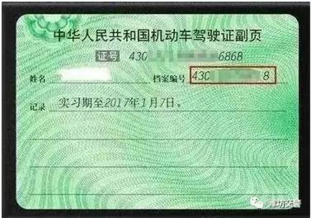 肖3码