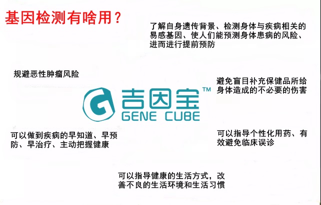 管家婆期期的奥秘，揭开免费精准资料的神秘面纱