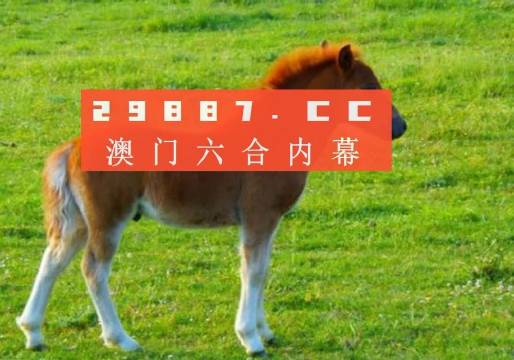 2035年，展望未来，澳门开奖的数字化与透明化新篇章2023年澳门开奖结果 开奖记录表
