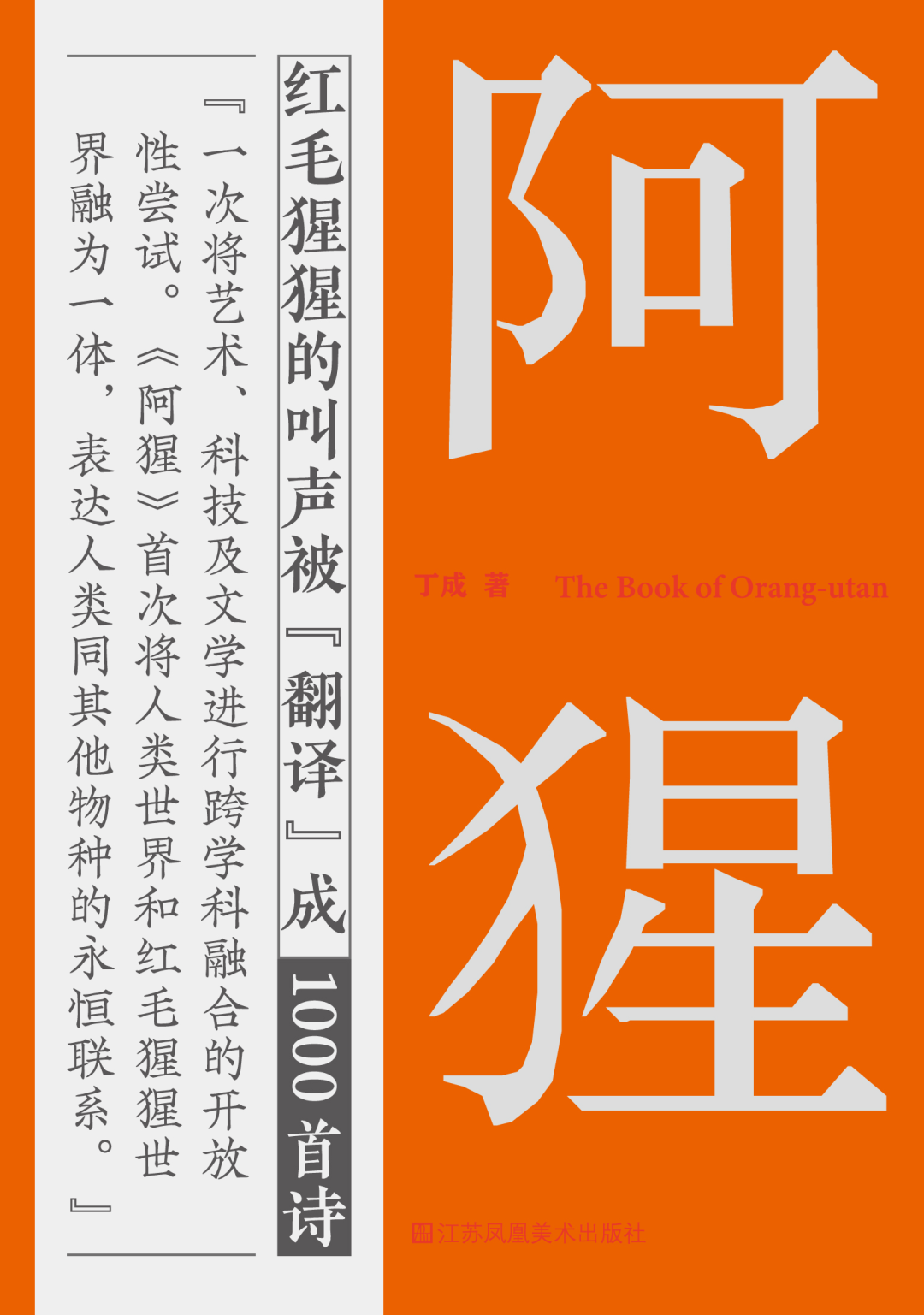 探索新奥门特，免费资料大全与火凤凰的传奇之旅新奥最精准免费大全