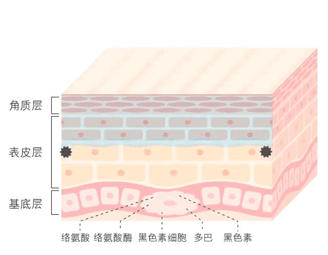 揭秘白小姐今期一肖中特，生肖预测的奥秘与现实白小姐一肖期期准准