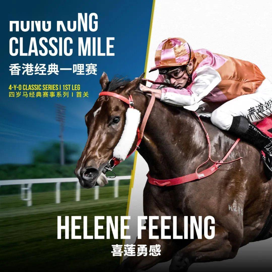 香港馬會香港2021年马会资料大全