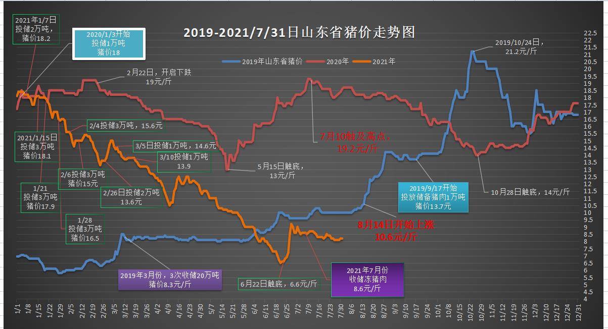 2036年，澳门未来彩票的革新与展望2024澳门特马今晚开奖56期