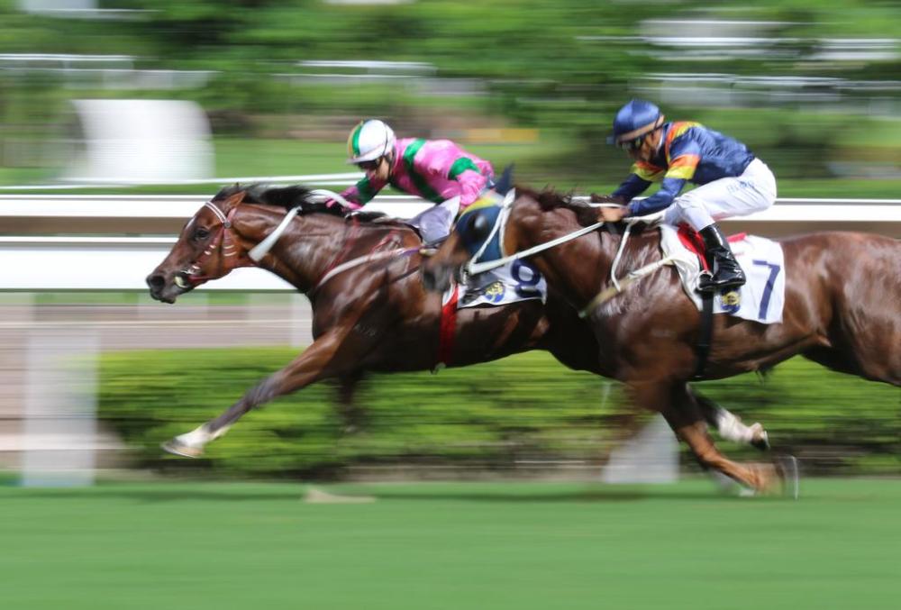 2019年香港马会最快开奖结果，速度与激情的完美结合