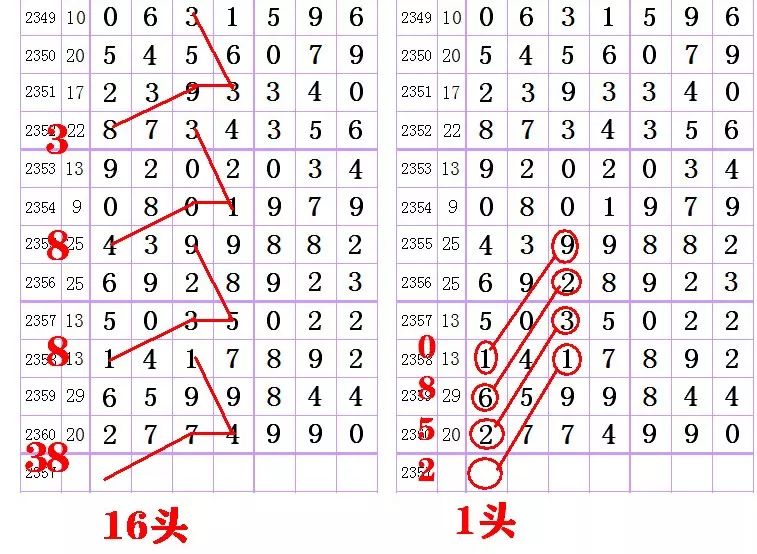 星彩论坛，数字时代的思想碰撞与文化交流平台图规欣赏一特区七星彩论坛
