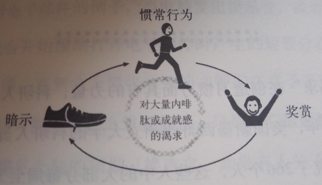 ✦三、四天循环:周次效应下的心理暗示 
