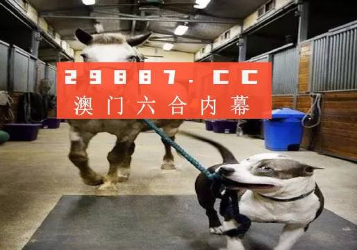澳门一肖不中，但智慧与策略的博弈永不止步澳门一肖一码必中一码珠圆玉润是什么动物