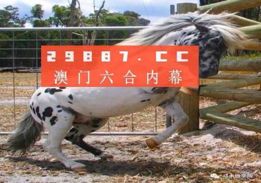 澳门宝典资料2019年，深度解析与未来展望澳门开码最快结果查询