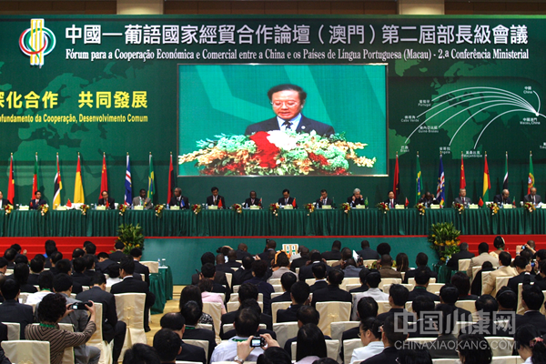 2019年澳门码开奖记录，回顾与展望2020澳门码开奖记录2020澳门天天彩澳门资料大全
