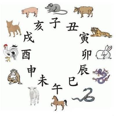 澳门王中王的六码与生肖，传统彩市的神秘符号澳门王中王六码六肖催化剂厂家