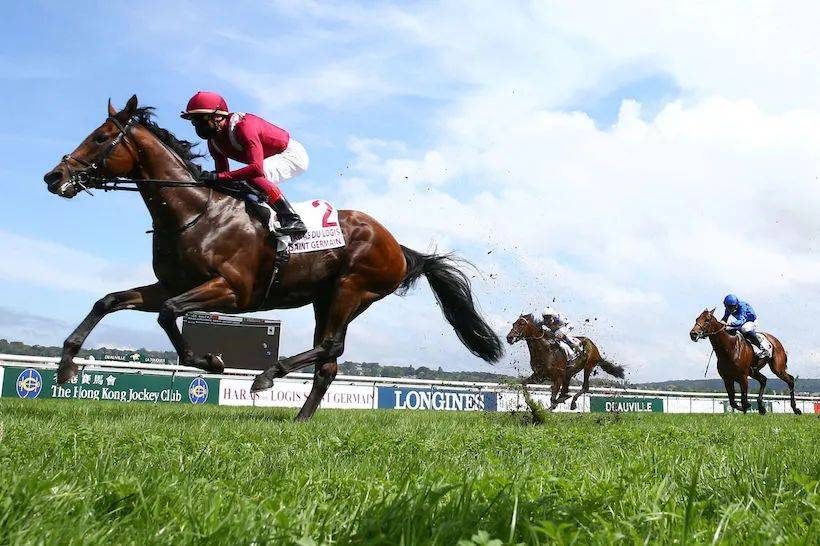 2019香港马会资料大全，免费资源与精彩赛事概览香港2021年马会资料大全