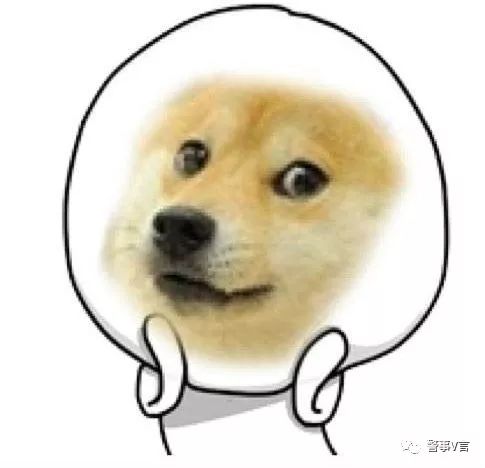 小狼狗高手论坛—网络社交新风尚的探索与反思小狼狗高手论坛官网