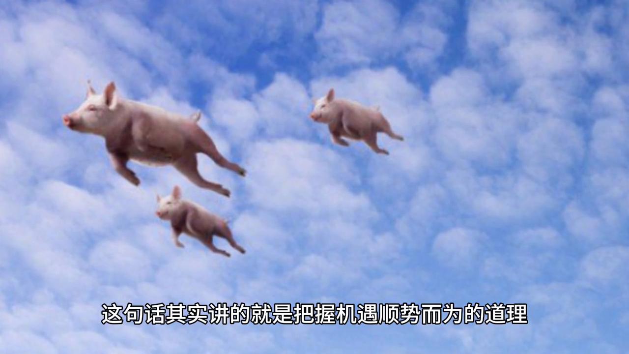 2043年，回望与展望—香港开奖历史记录的深度剖析2024年香港开奖历史记录第15期开奖结果
