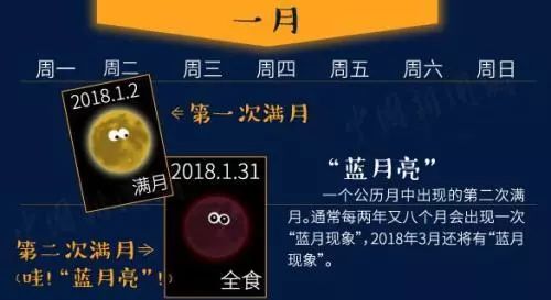 蓝月亮精准资料，免费大公开的背后与价值探索蓝月亮精准资料免费大公开生肖卡