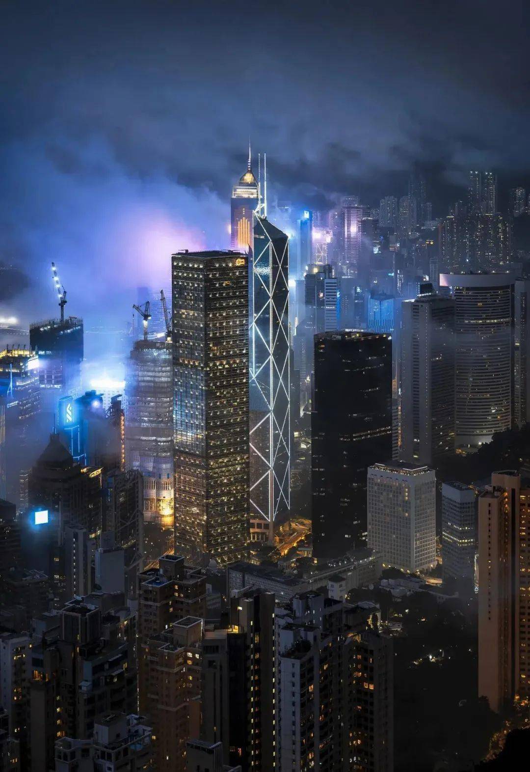探索香港今期开奖结果，一场数字与梦想的交织香港今期开奖结果历史记录查询网