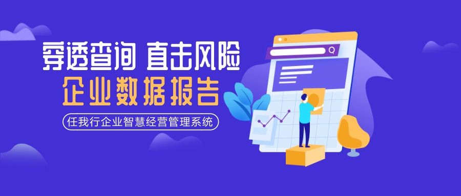 2036年新澳管家婆资料，深度解析与未来展望