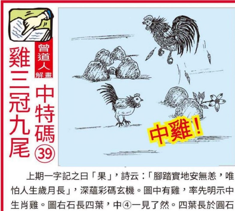 免费资料大放送，马会资料的全面解析与使用指南马会资料大全免费资料图库