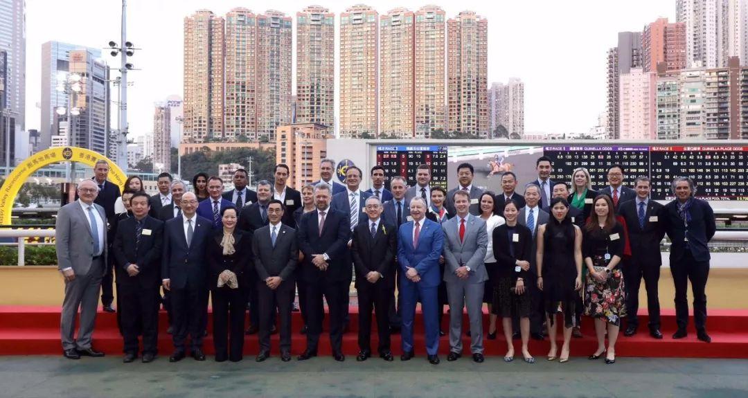 探索香港马会开奖直播，一场精彩绝伦的赛事盛宴香港马 会开奖结果新闻