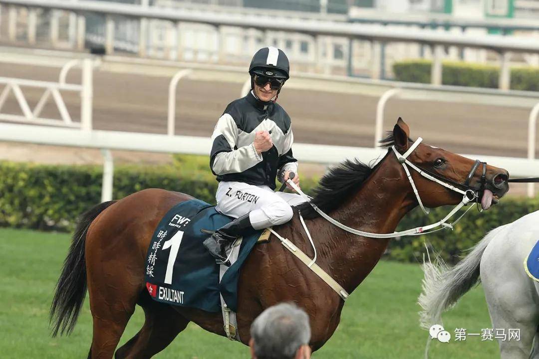 2019香港马会资料大全免费，全面解析与深度解读香港2021年马会资料大全