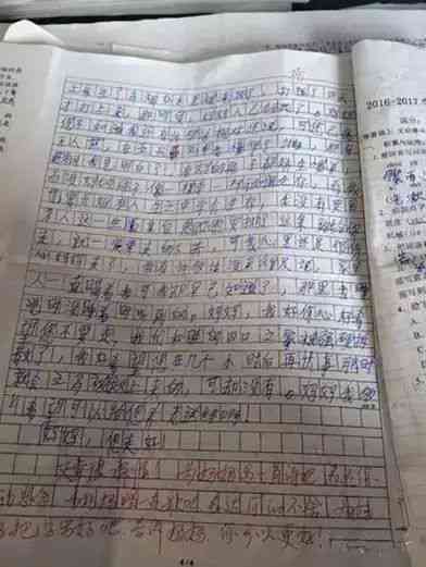 365作文枓棋网，点亮创意写作的火花棋作文600字