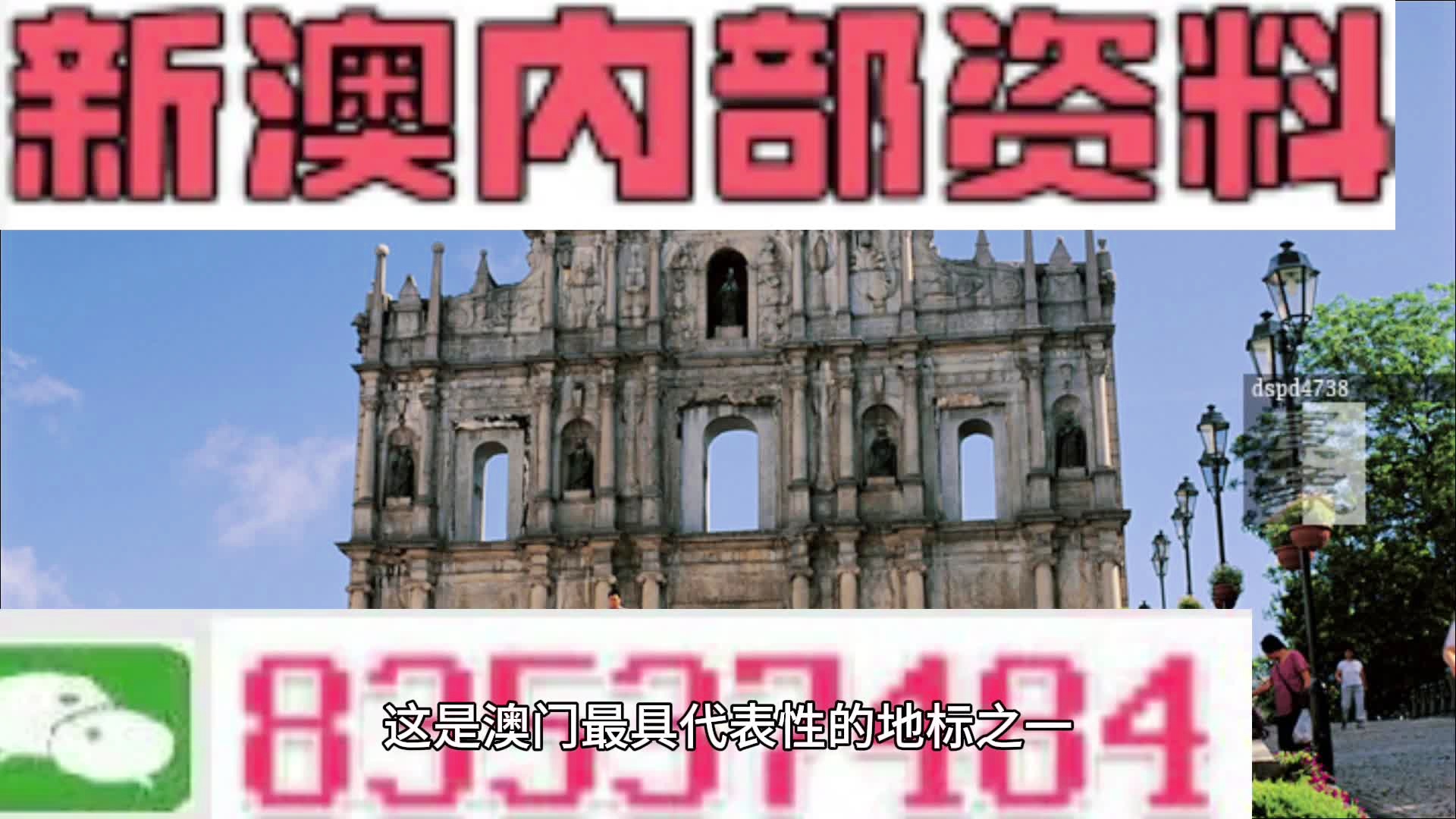 2036澳门正版精准资料公开，揭秘背后的真相与风险警示2021年澳门正版资料全新解析