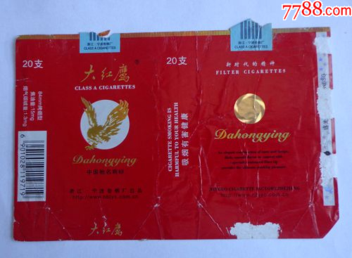回忆里的温暖角落，大红鹰聊天室的故事大红鹰聊天室欢迎您的光临