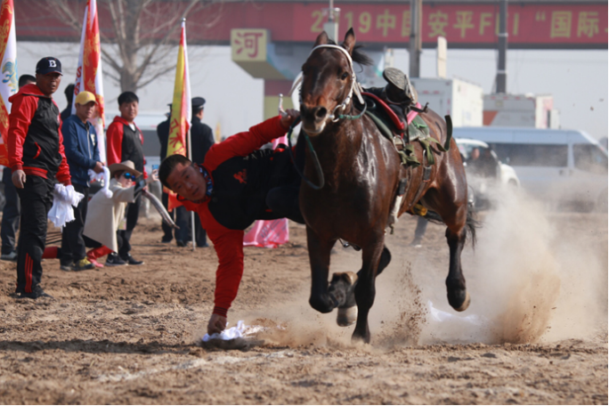 2019香港马年赛事全回顾，激情与荣耀的交织2019年香港马最准的资料