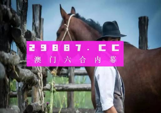 探索203年澳门全年资料免费大全，解锁城市魅力与机遇2023澳门全年资料免费大全诸葛亮藏宝图解析