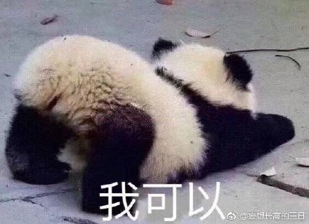 今晚必中四不像图，揭秘彩票背后的神秘与希望今晚必中四不像图片2019四不像41期