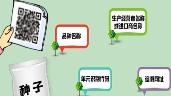 管家婆一码与白蛇图坛，传统智慧在现代的传承