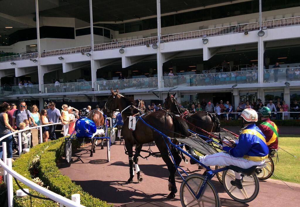 2019香港马会全年资料大全，赛驹纵横，精彩纷呈香港2021年马会资料