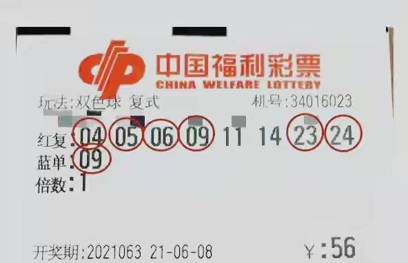 合肥新澳开奖结果资料查询，一场数字与幸运的邂逅新澳开奖结果资料查询合肥澳门码天天开彩