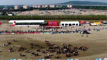 探索香港马会网站，一站式赛马的精彩世界香港免费公开资料大全