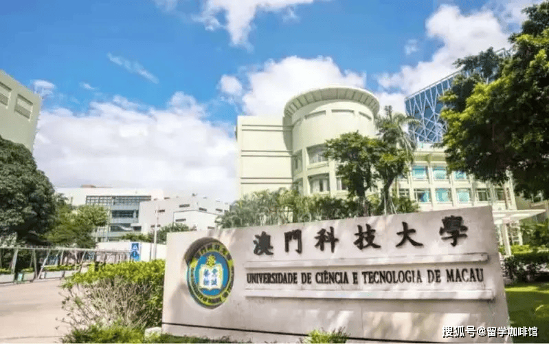 澳门二四六天天资料大全203，全面解析与实用指南2025新澳门天天精准免费大全