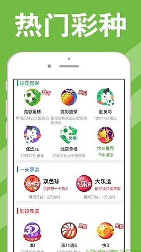 澳门彩，新开奖号码查询结果揭秘与解析新澳门彩开奖号码查询结果全年