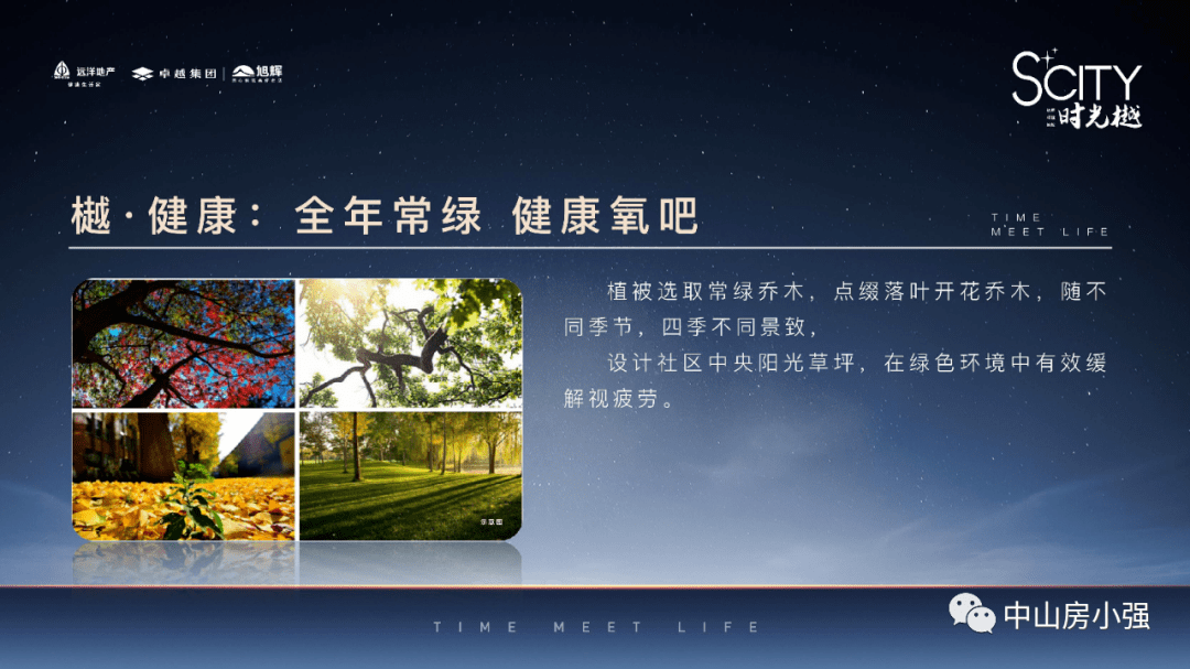 探索新澳天天开奖，三中三大全解析新澳天天开奖资料大全三中三玩法介绍