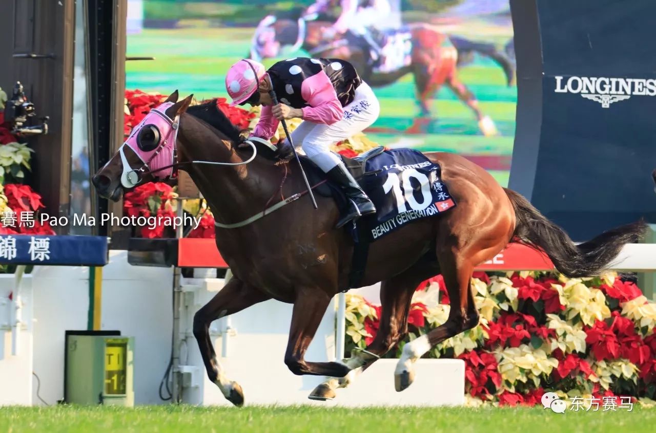 探索香港马会2019年开奖结果的历史记录