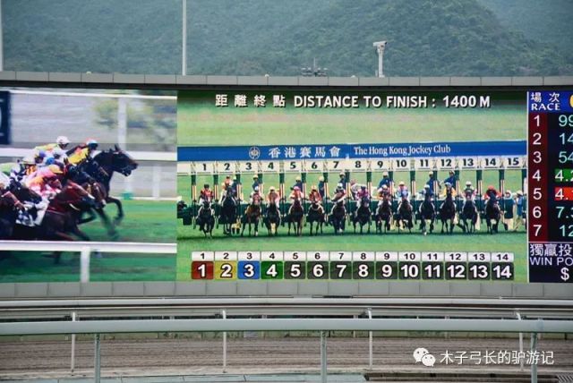 探索香港马会开奖直播，揭秘赛马的激情与科技融合马会香港开奖直播20|9年开奖自动更新