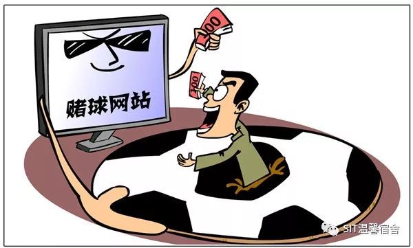 管家婆期号预测，理性与科学的结合，拒绝非法赌博