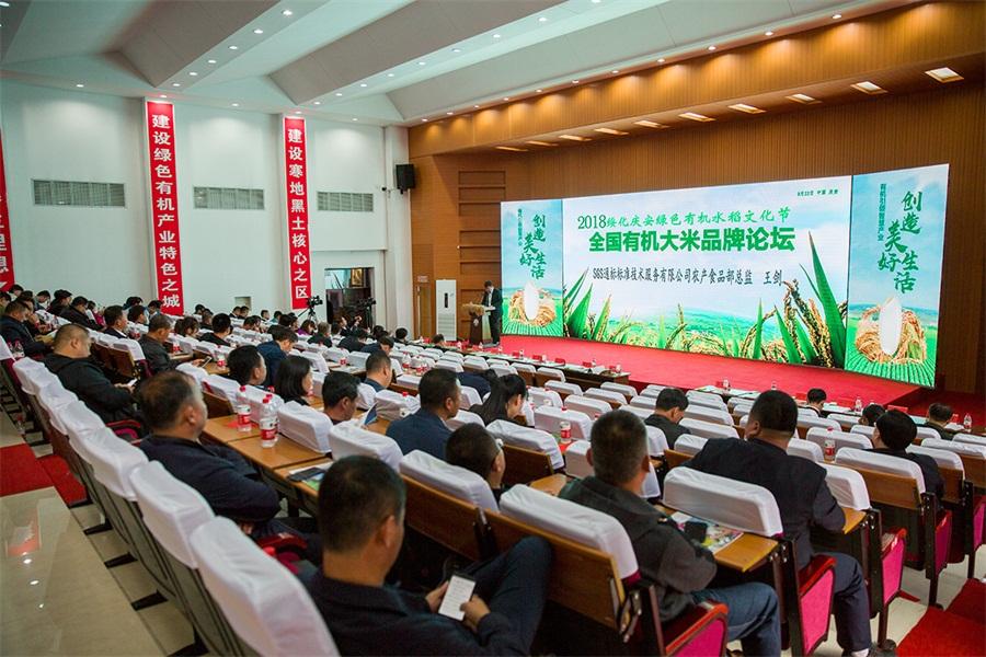 蓝姐三中三大数据论坛，解锁数字时代的智慧碰撞蓝姐三中三高手论坛正网