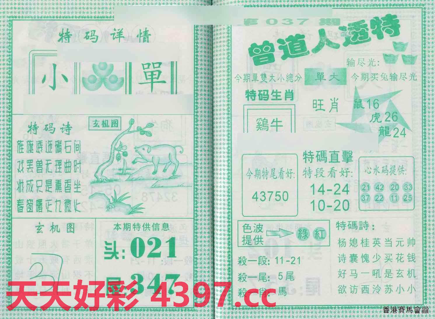 揭秘二四六天天玄机资料308，一场数字背后的奇幻之旅二四六天天玄机资料308k每期