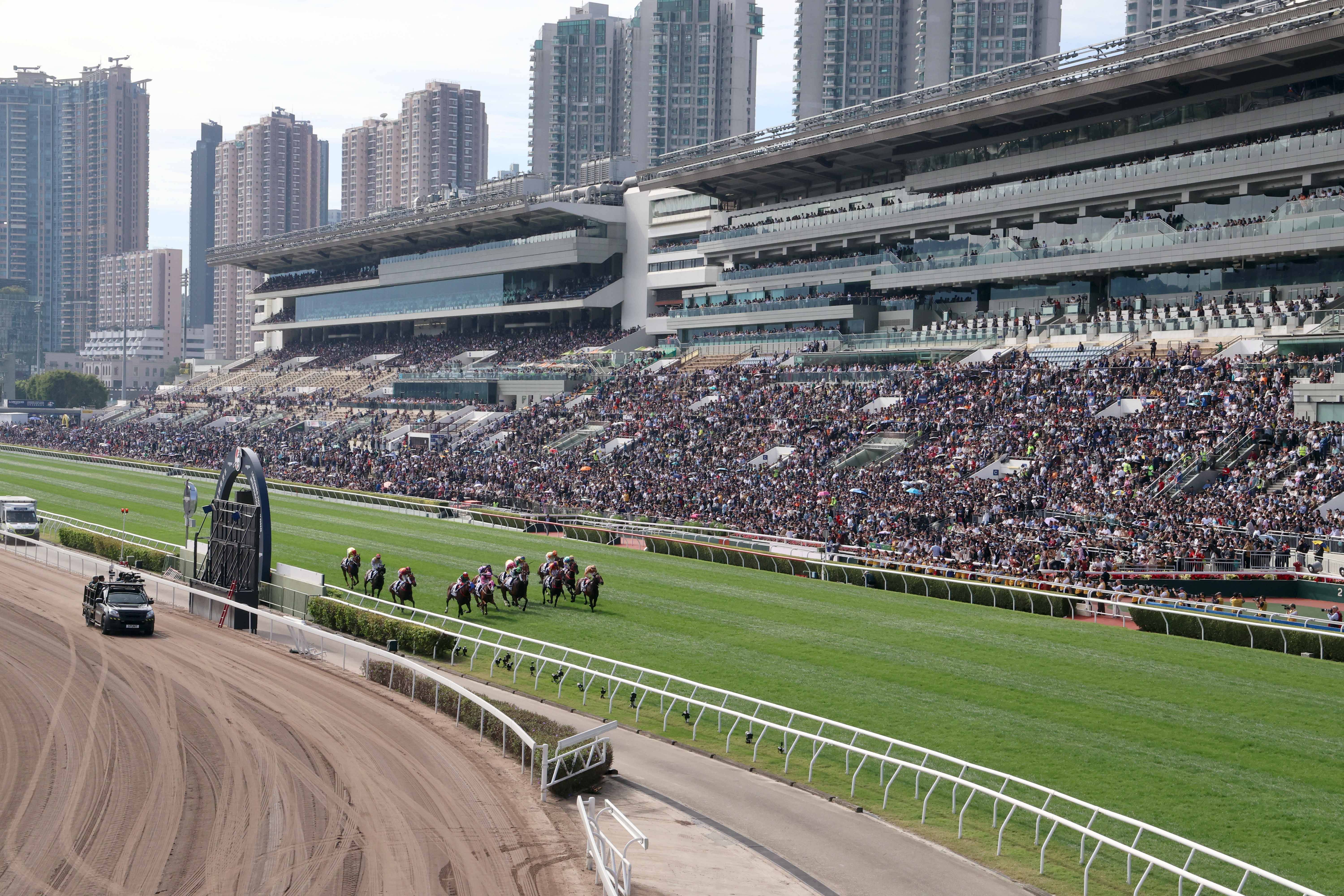 2019香港马会资料大全，免费资源与精彩赛事回顾香港2021年马会资料大全