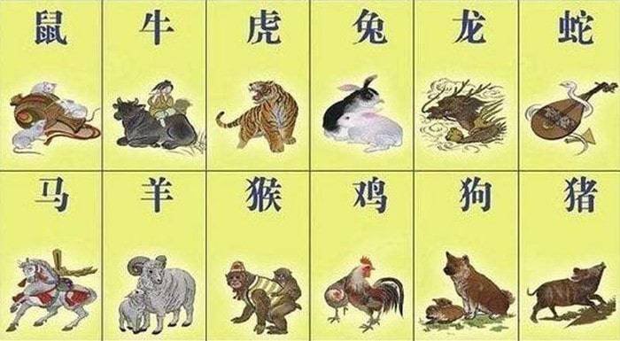 2019年特马生肖图，探寻中国传统文化与现代娱乐的完美融合2019年特马生肖图22期