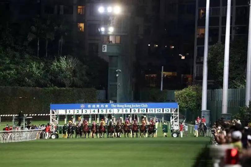香港马会最新通知，聚焦2019/