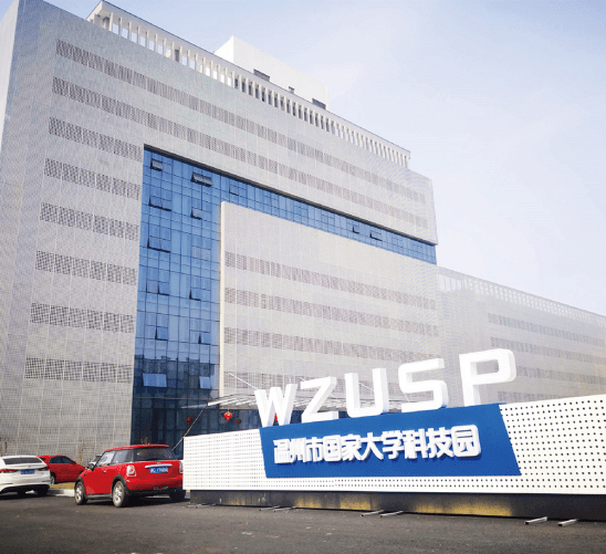 澳门彩8694.COM，探索数字背后的幸运与智慧澳门彩历史开奖记录查询五行属