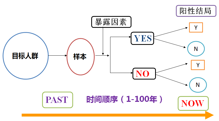 澳门资料大全，全面解析与下载指南下载澳门资料大全开彩