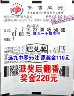 2048澳门天天开好彩大全，理性看待杀码，享受游戏乐趣2025澳门天天开好彩大全最新版本