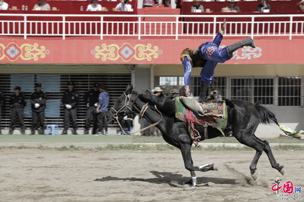 探索香港赛马文化，全面解析2019年香港馬資料大資料大全香港马资料大资料大全梅花诗